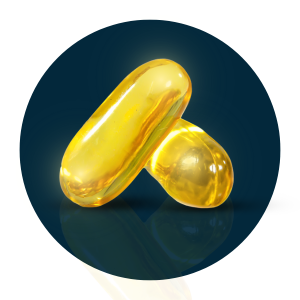 Omega 3 Life Boost -  120 Capsulas